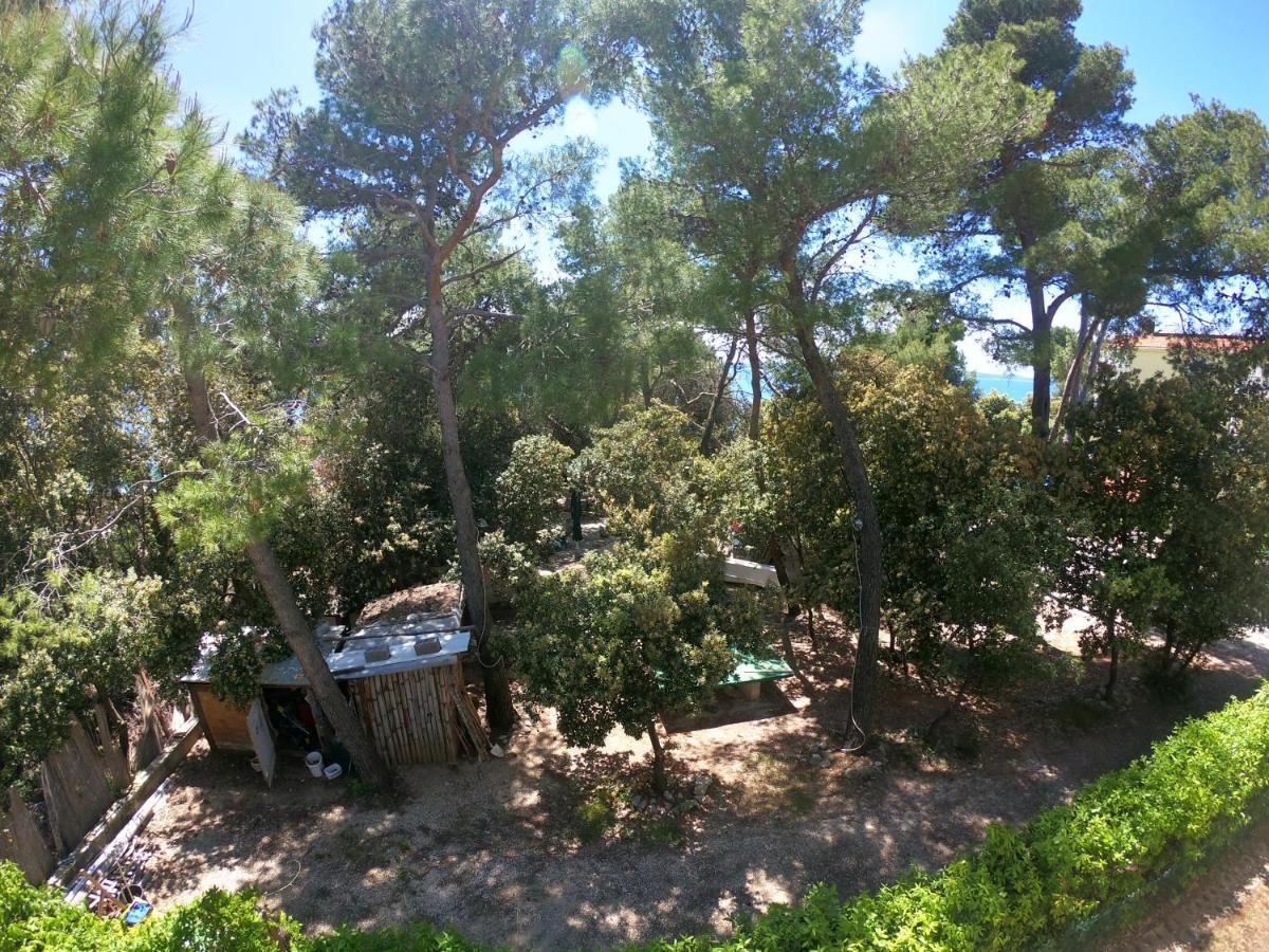 Apartments Stanko Petrcane Εξωτερικό φωτογραφία